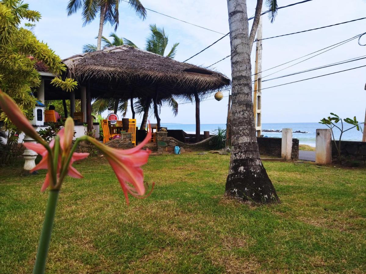 Sunchaser Beach Hotel タンガラ エクステリア 写真